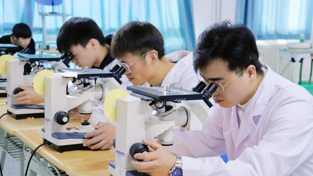 徕卡杯”第十一届全国大学生金相技能大赛决赛beat365正版唯一官网分赛场圆满落幕